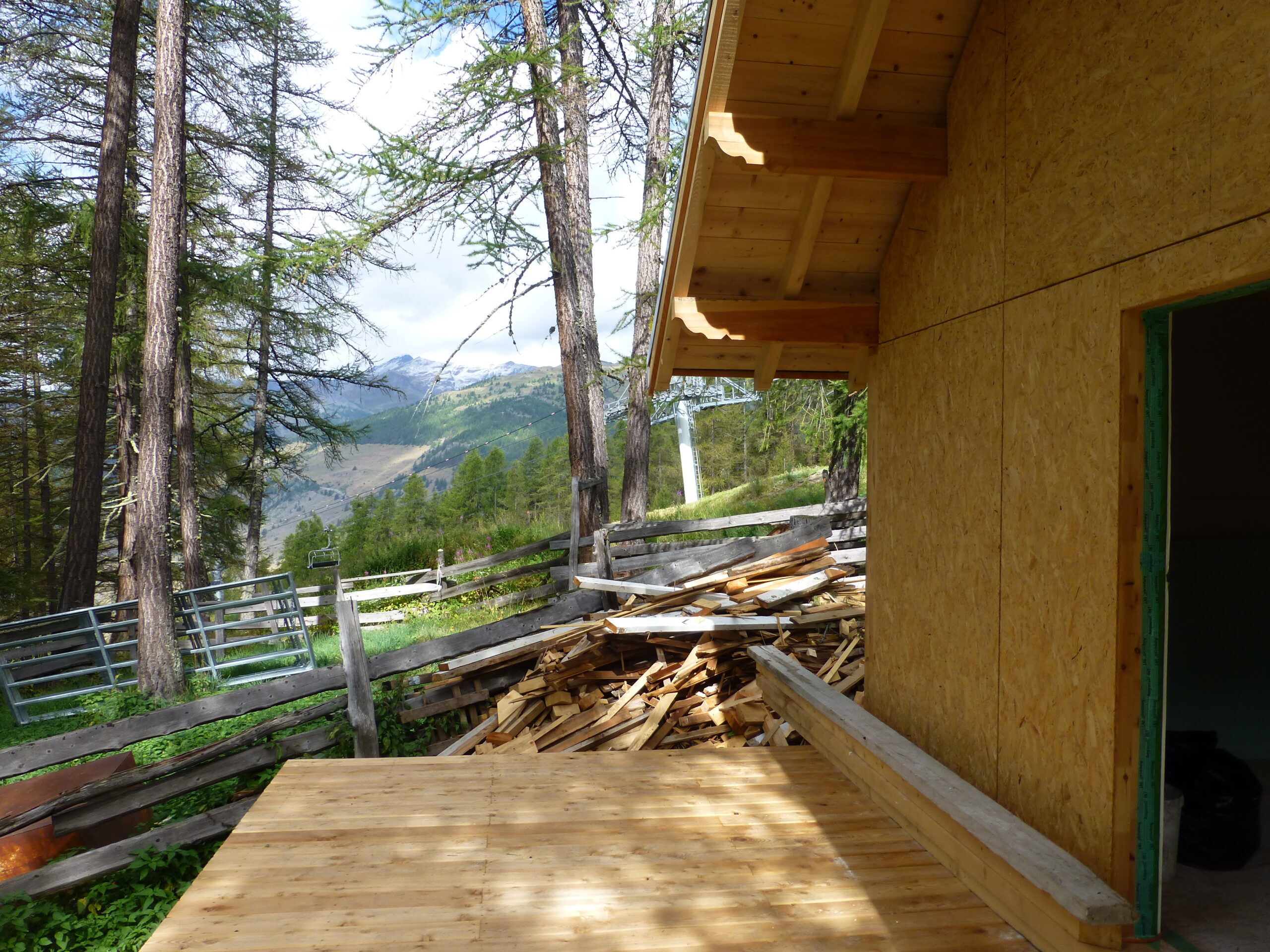 cabane bois dans la forêt